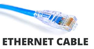 ethernet patch cord and fly leads